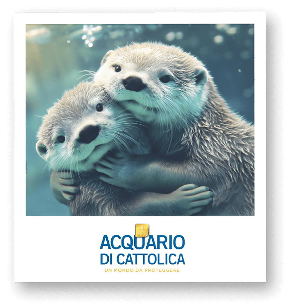 Acquario di Cattolica